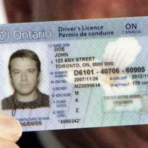 Buy Canadian Drivers Liscence Online