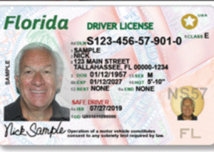 Buy Cheap Florida Driver License Online