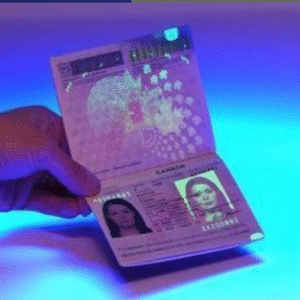 Buy Canadian Passport Online