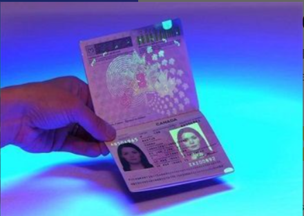 Buy Canadian Passport Online Buy Canadian Passport Online